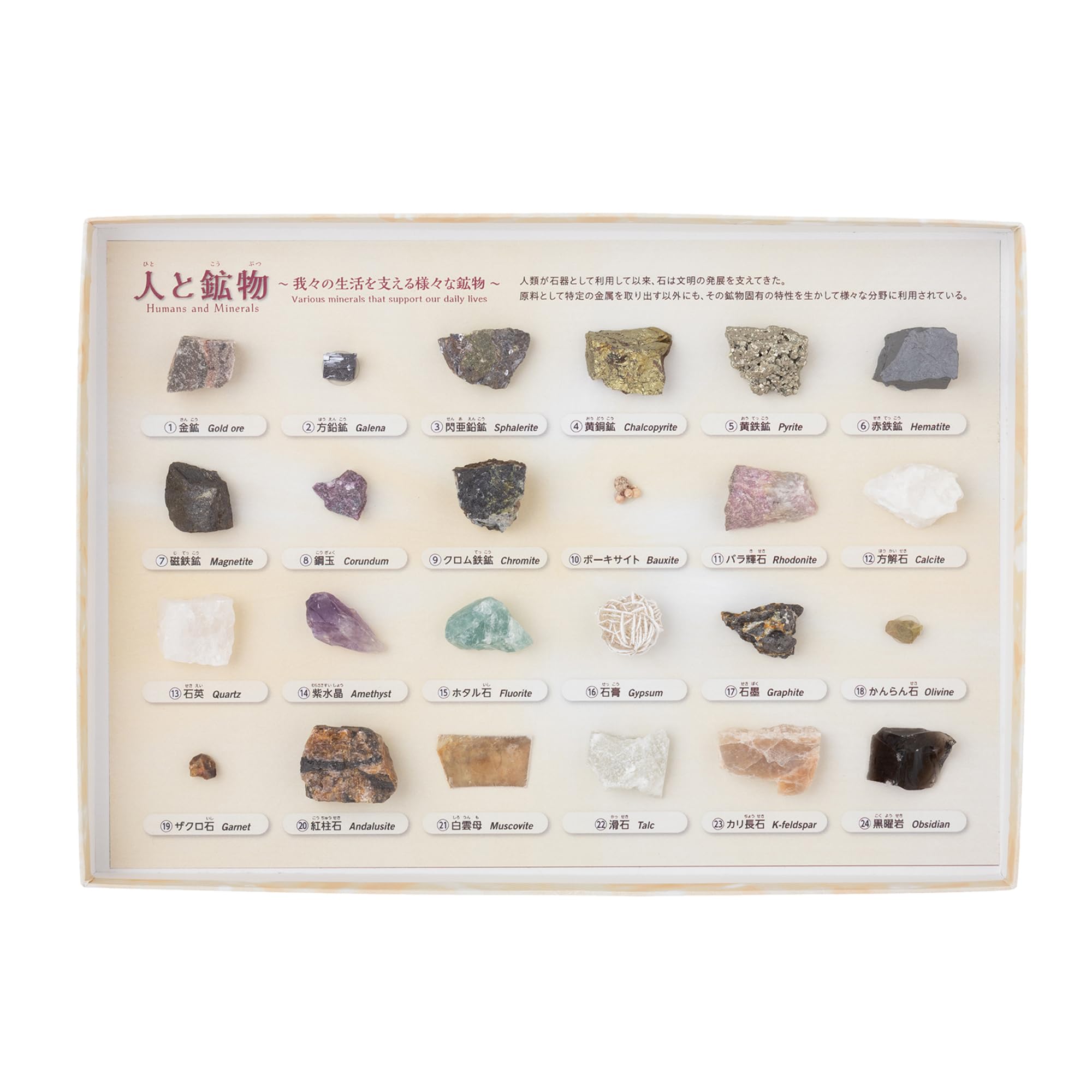 Amazon | 大江理工社(Oherikosha) ブック型標本セット 人と鉱物 | 岩石